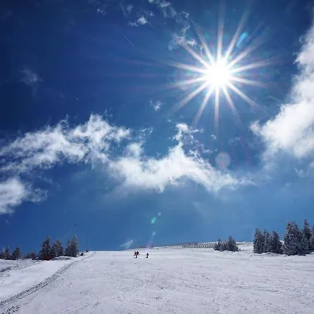 & N34 Milmari Kopaonik