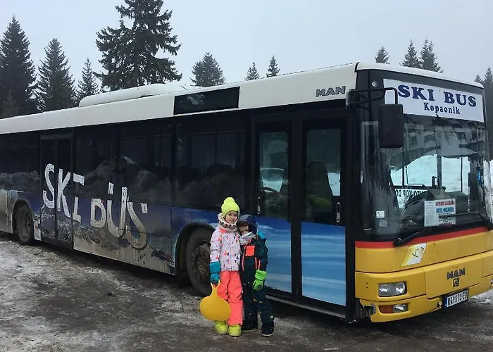 & N34 Milmari * Kopaonik