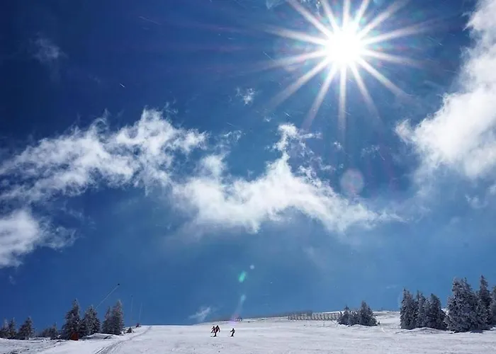 & N34 Milmari Kopaonik