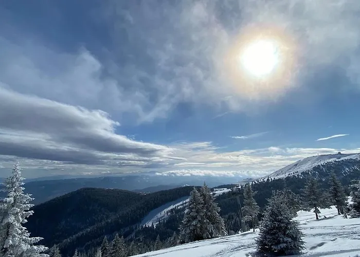 Appartement & N34 Milmari *